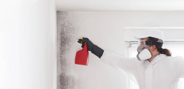 Best Commercial Mold Removal  in Southlake, TX